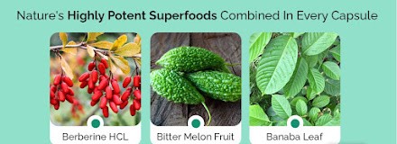bitter melon fruit is a weight loss product.