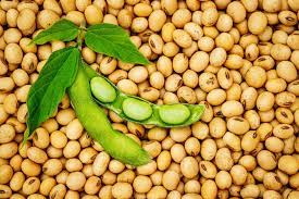 we need to eat omege-3 for good health.