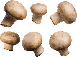 vegetable mushroom for weight loss