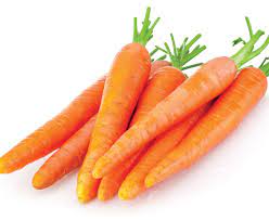 vegetable carrot should include in our diet for weight loss