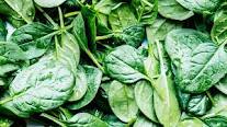 spinach lovers during pregnancy