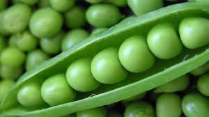 Highprotein chickpeas