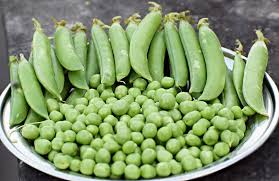 Highprotein Chickpeas for weight loss