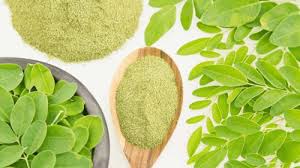 moringa is the best healthy food.