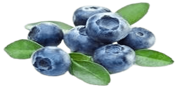 Blue berries Increase Your Sexual Stamina and Sex Drive.