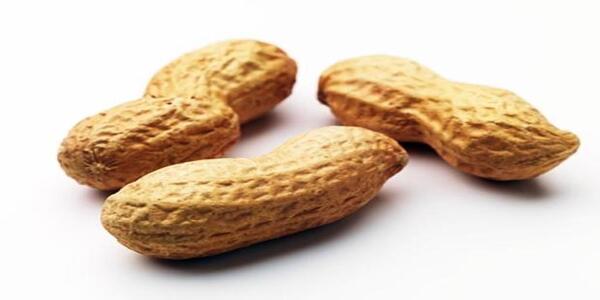 Peanuts Increase Your Sexual Stamina and Sex Drive.