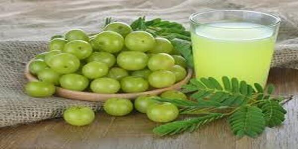 Amla juice is important for weight loss.