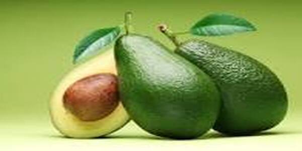 Avocado is healthy for skin and exercise