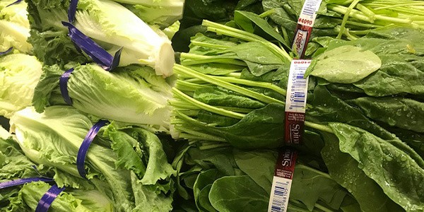 spinach is the best natural food for sexual power.