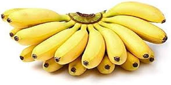 Sexual Power can be increased by eating banana regularly.