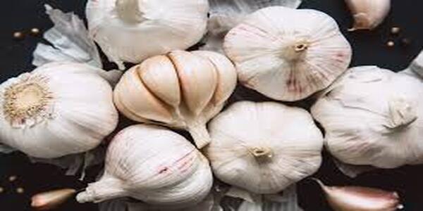 Sexual Power can be increased by eating garlic