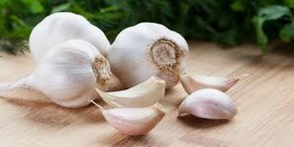 Sexual Power can be increased by eating garlic