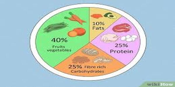 A healthy diet plan is essential for our body.