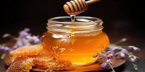 Sexual Power can be increased by eating honey
