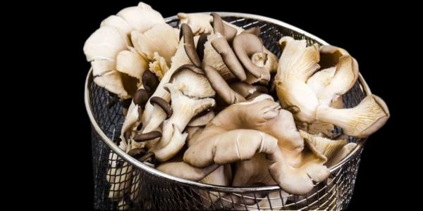 Restaurants serve mushrooms in visually appealing ways with fresh garnishes. 