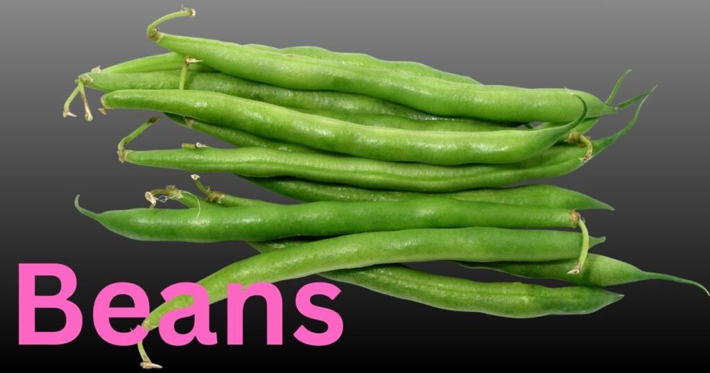 serving of cooked beans displaying oval-shaped legumes in their natural color.